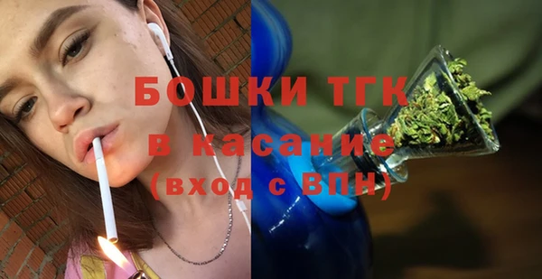 стаф Арсеньев