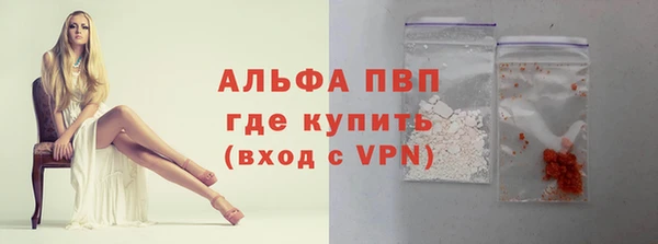 ECSTASY Новодвинск