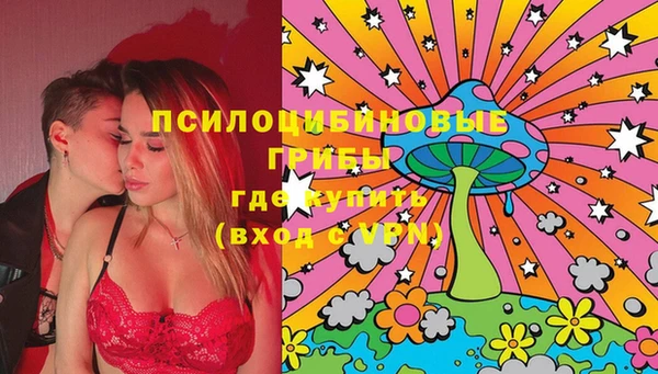 стаф Арсеньев