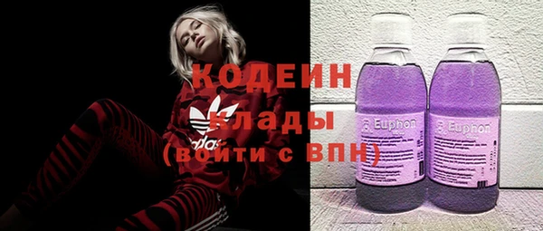 стаф Арсеньев