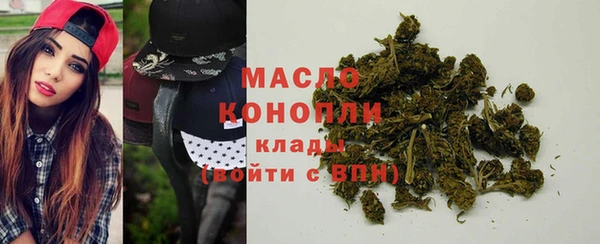 стаф Арсеньев
