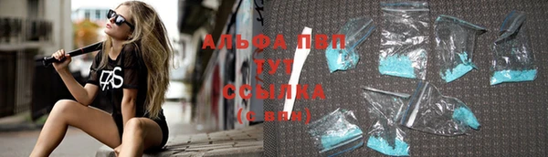 стаф Арсеньев